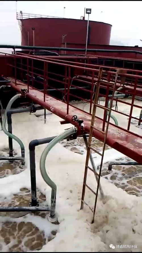 舟山海产品加工废水处理迎来创新突破 平板陶瓷膜技术成功应用，为海洋环境保护注入新动力